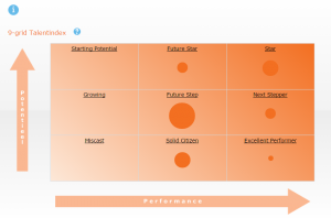 NL-HB-Talent-Analytics-P9-People-Qualities-9-grid-brochure-300x198.png