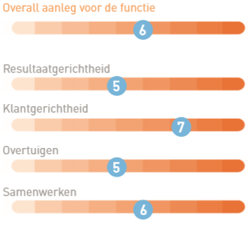 Overall aanleg competenties CAS.png