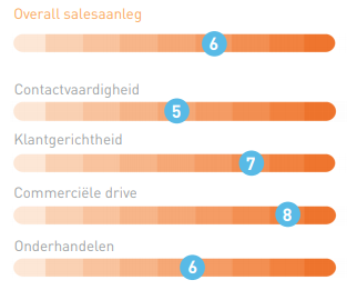 Overall aanleg salesaanleg.png